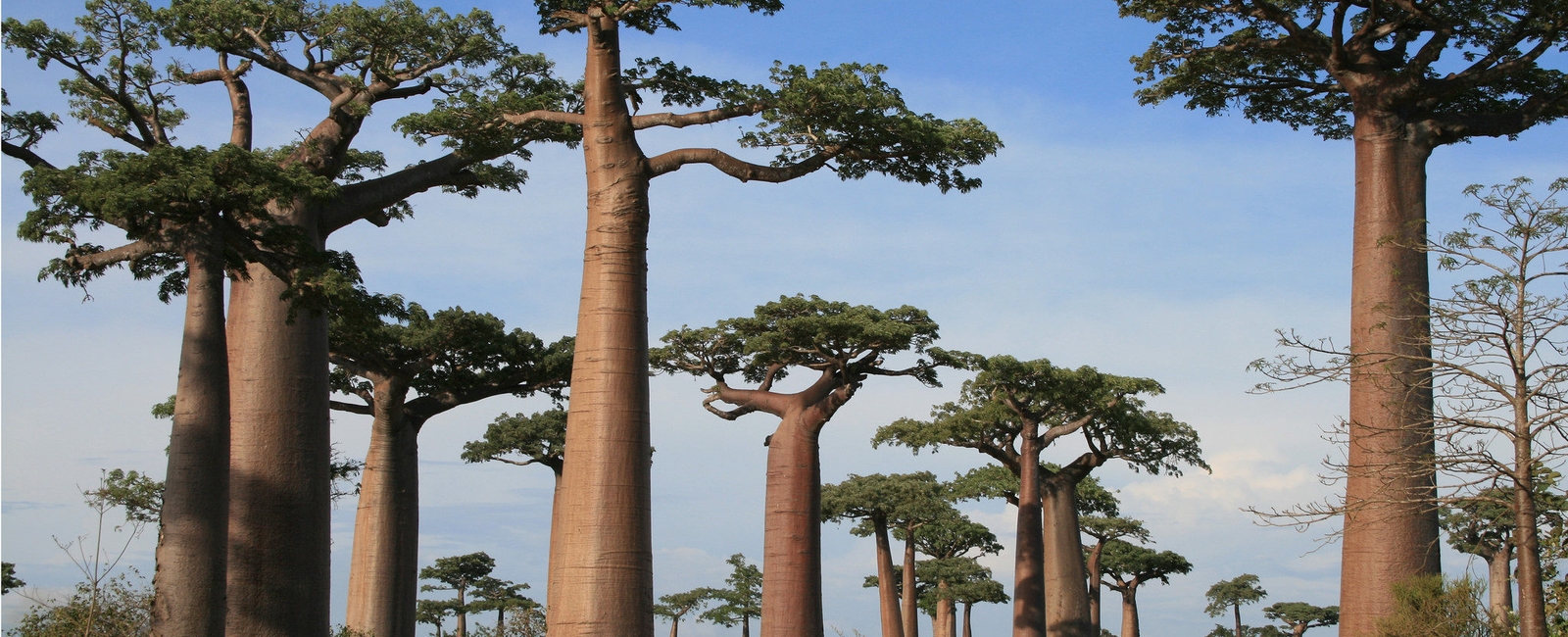 10 erreurs à éviter lors de votre voyage à Madagascar